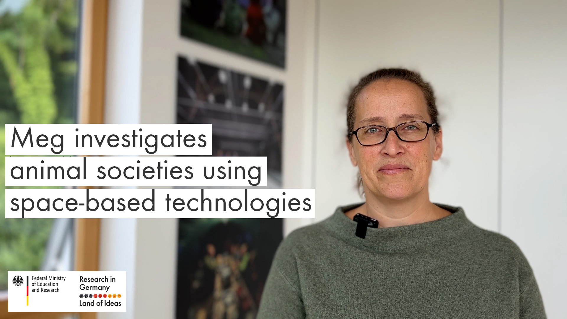Video Teaserbild: Meg investigates animal societies using space-based technologies
