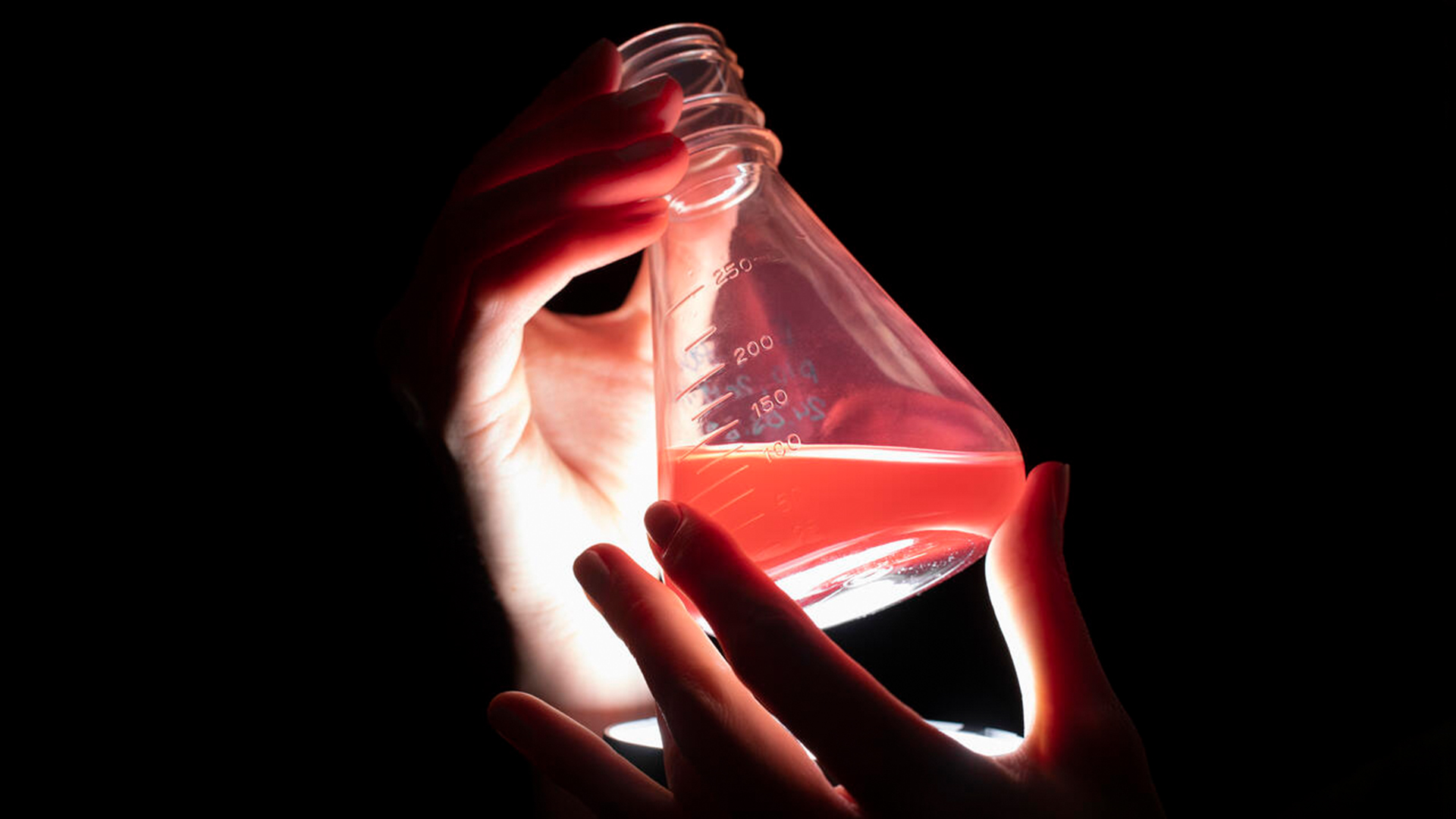 Two hands holding a laboratory flask with red liquid. 