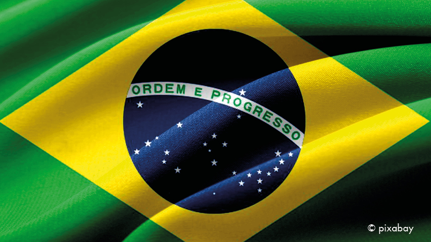 Brazilian flag as picture for Brazilian participants