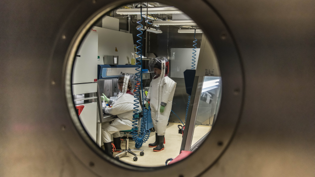 We are looking through a porthole in a lab where two researchers are working.