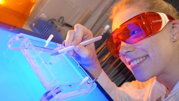 A female researcher with red goggles is working in a lab on a table that emits blue light from it's surface. She is holding a scalpel in her right hand.